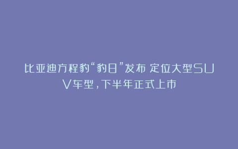 比亚迪方程豹“豹8”发布：定位大型SUV车型，下半年正式上市