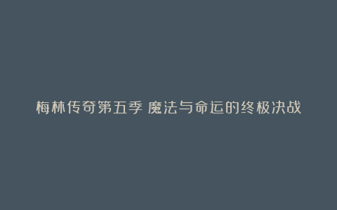 梅林传奇第五季：魔法与命运的终极决战