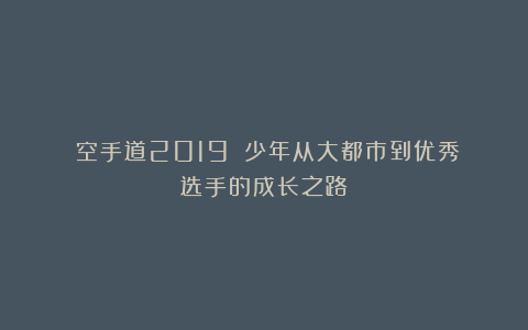 《空手道2019》：少年从大都市到优秀选手的成长之路