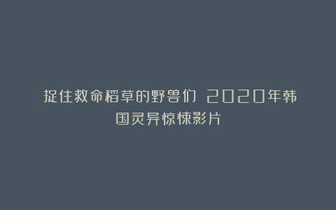 《捉住救命稻草的野兽们》：2020年韩国灵异惊悚影片