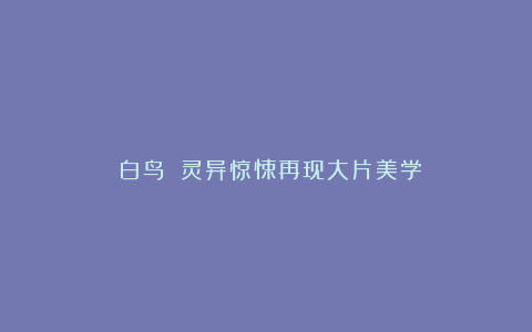 《白鸟》：灵异惊悚再现大片美学