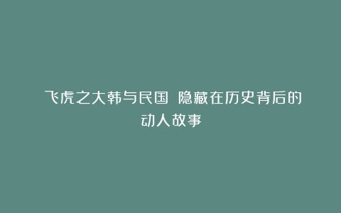 《飞虎之大韩与民国》：隐藏在历史背后的动人故事