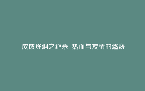 《成成烽烟之绝杀》：热血与友情的燃烧