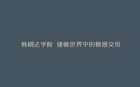 《韩剧法学院》：律师世界中的情感交织