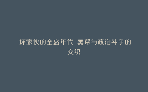 《坏家伙的全盛年代》：黑帮与政治斗争的交织