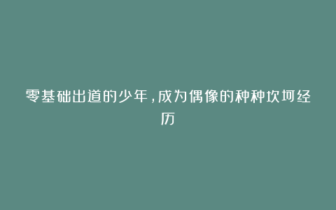 零基础出道的少年，成为偶像的种种坎坷经历