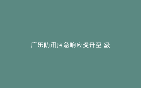 广东防汛应急响应提升至Ⅲ级