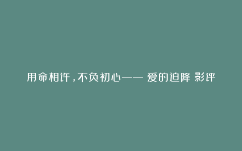 用命相许，不负初心——《爱的迫降》影评