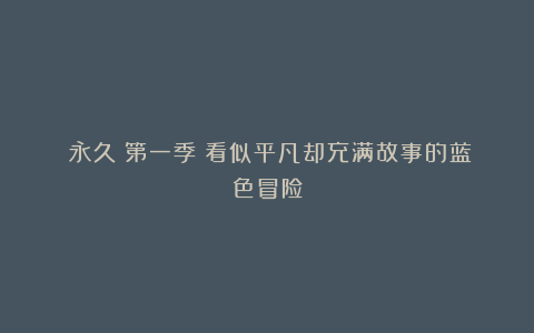 《永久》第一季：看似平凡却充满故事的蓝色冒险