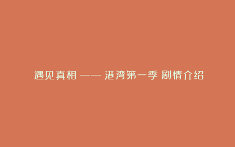 《遇见真相》——《港湾第一季》剧情介绍