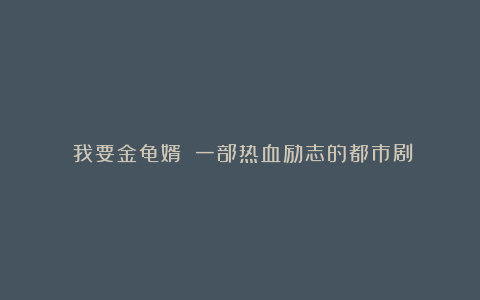 《我要金龟婿》：一部热血励志的都市剧