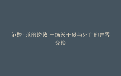 范妮·莱的挽救：一场关于爱与死亡的异界交换