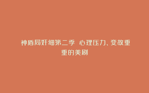 《神盾局奸细第二季》：心理压力、变故重重的美剧