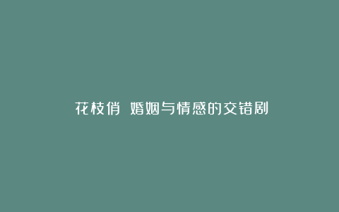 《花枝俏》：婚姻与情感的交错剧