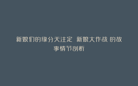 新娘们的缘分天注定？《新娘大作战》的故事情节剖析