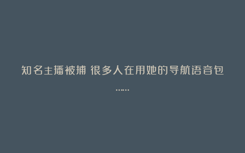 知名主播被捕？很多人在用她的导航语音包……