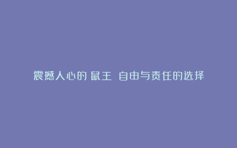 震撼人心的《鼠王》：自由与责任的选择