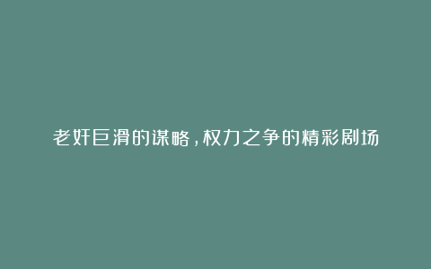 老奸巨滑的谋略，权力之争的精彩剧场