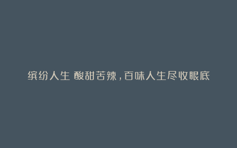 缤纷人生：酸甜苦辣，百味人生尽收眼底