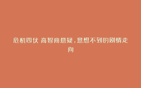 危机四伏：高智商悬疑，意想不到的剧情走向