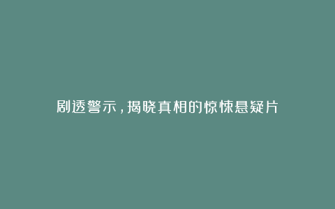 剧透警示，揭晓真相的惊悚悬疑片