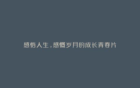 感悟人生，感慨岁月的成长青春片