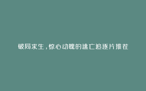 破局求生，惊心动魄的逃亡追逐片推荐