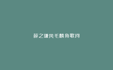 薛之谦凤毛麟角歌词