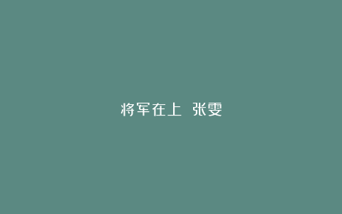 将军在上 张雯