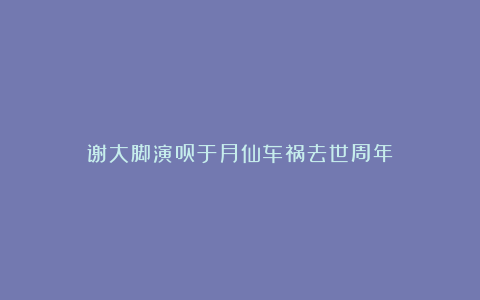 谢大脚演员于月仙车祸去世周年