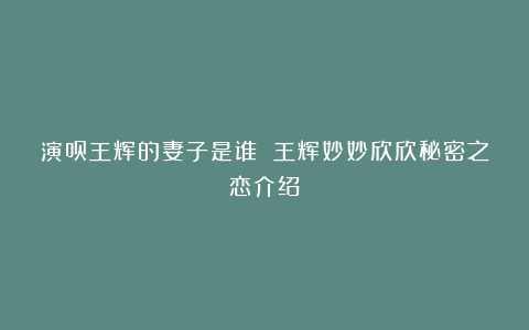 演员王辉的妻子是谁 王辉妙妙欣欣秘密之恋介绍