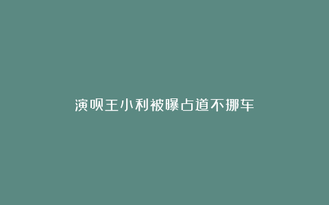 演员王小利被曝占道不挪车