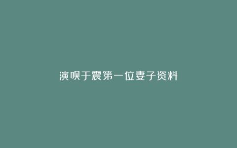 演员于震第一位妻子资料