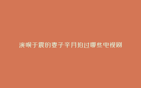 演员于震的妻子辛月拍过哪些电视剧