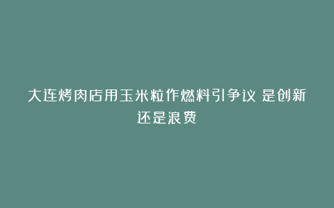 大连烤肉店用玉米粒作燃料引争议：是创新还是浪费？