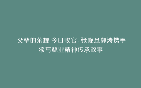 《父辈的荣耀》今日收官，张晚意郭涛携手续写林业精神传承故事