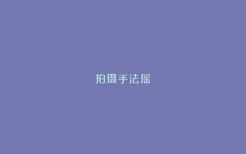 拍摄手法摇