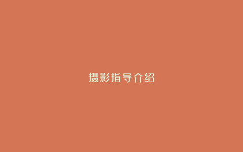 摄影指导介绍