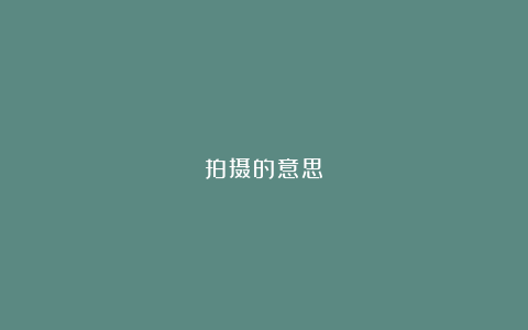 拍摄的意思