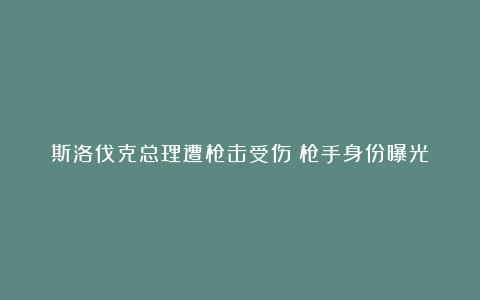 斯洛伐克总理遭枪击受伤！枪手身份曝光