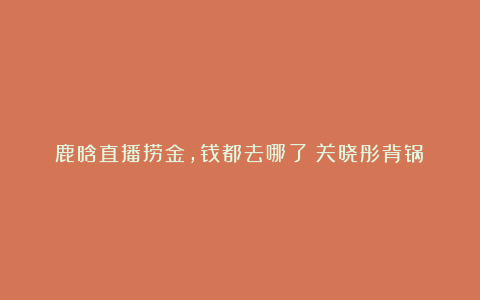 鹿晗直播捞金，钱都去哪了？关晓彤背锅？