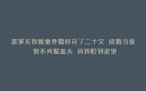 裴家买我做童养媳时花了二十文 成婚当夜 他不肯掀盖头 将我贬到泥里