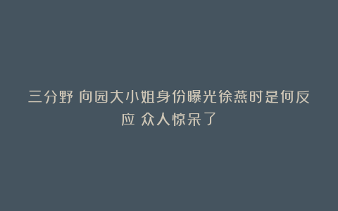 三分野：向园大小姐身份曝光徐燕时是何反应？众人惊呆了！