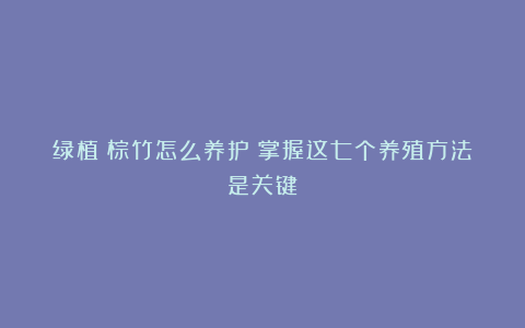 绿植丨棕竹怎么养护？掌握这七个养殖方法是关键！