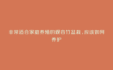 非常适合家庭养殖的观音竹盆栽，应该如何养护？