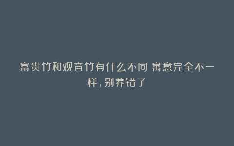 富贵竹和观音竹有什么不同？寓意完全不一样，别养错了！