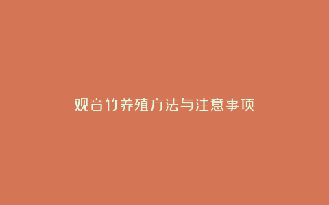 观音竹养殖方法与注意事项