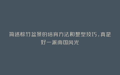 简述棕竹盆景的培育方法和整型技巧，真是好一派南国风光！