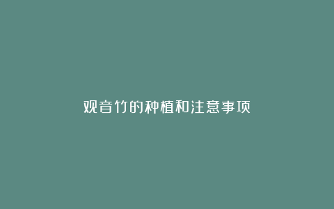 观音竹的种植和注意事项