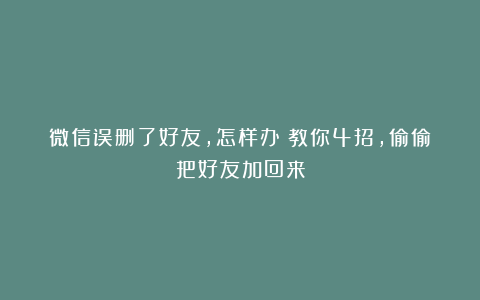 微信误删了好友，怎样办？教你4招，偷偷把好友加回来